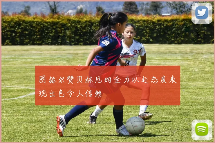 图赫尔赞贝林厄姆全力以赴态度表现出色令人信赖