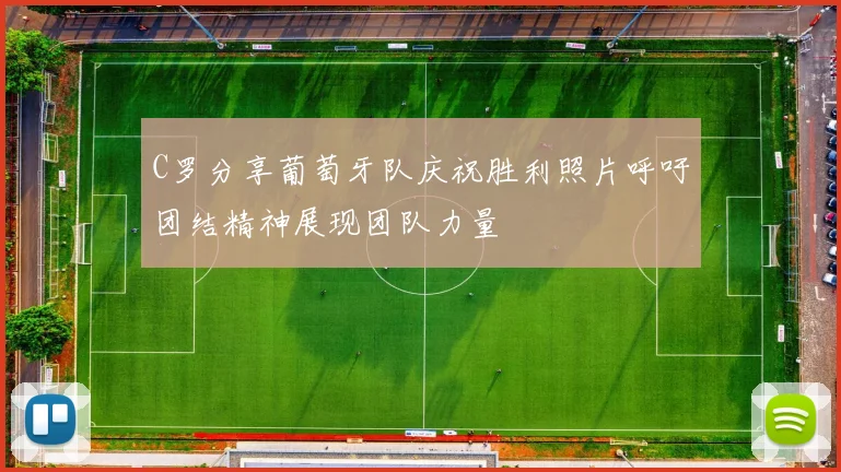 C罗分享葡萄牙队庆祝胜利照片呼吁团结精神展现团队力量