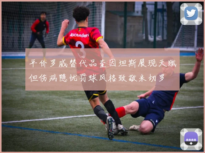 平价罗威替代品奎因坦斯展现天赋但伤病隐忧罚球风格致敬米切罗