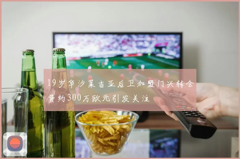 19岁华沙莱吉亚后卫加盟门兴转会费约300万欧元引发关注