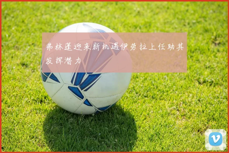 弗林蓬迎来新机遇伊劳拉上任助其发挥潜力